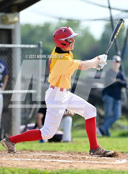 Thumbnail 1 in Williamsville East @ Hamburg photogallery.
