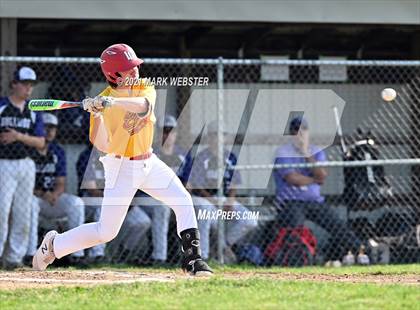 Thumbnail 1 in Williamsville East @ Hamburg photogallery.