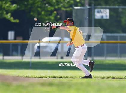Thumbnail 2 in Williamsville East @ Hamburg photogallery.