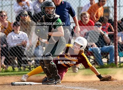 Thumbnail 2 in Tioga @ Collinsville photogallery.