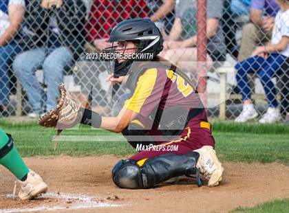 Thumbnail 3 in Tioga @ Collinsville photogallery.