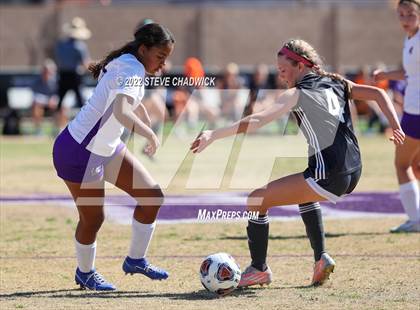 Thumbnail 3 in Arizona College Prep @  Northwest Christian (AIA 3A Quarterfinals) photogallery.