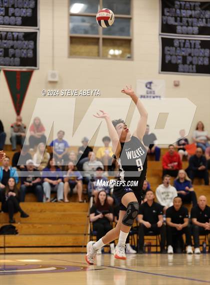 Thumbnail 3 in Arvada West @ Grandview (CHSAA 5A Region 6)  photogallery.