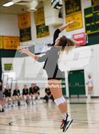 Photo from the gallery "Gilbert @ Horizon "