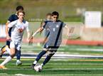 Photo from the gallery "Los Gatos @ Aptos"