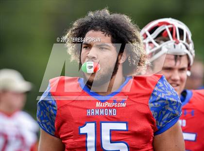 Thumbnail 3 in Southern Columbia Area @ Hammond photogallery.