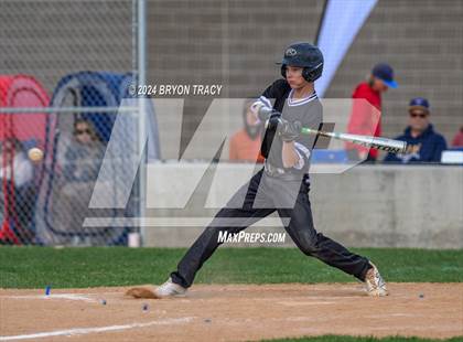 Thumbnail 3 in Highland @ Timnath photogallery.