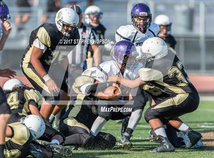 Thumbnail 3 in Tokay @ Chavez photogallery.