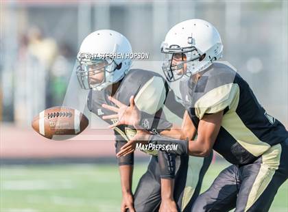 Thumbnail 2 in Tokay @ Chavez photogallery.