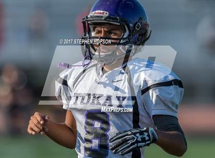 Thumbnail 1 in Tokay @ Chavez photogallery.