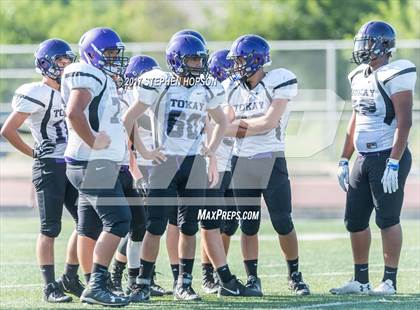 Thumbnail 3 in Tokay @ Chavez photogallery.