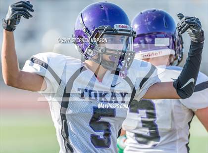 Thumbnail 3 in Tokay @ Chavez photogallery.