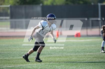 Thumbnail 1 in Tokay @ Chavez photogallery.