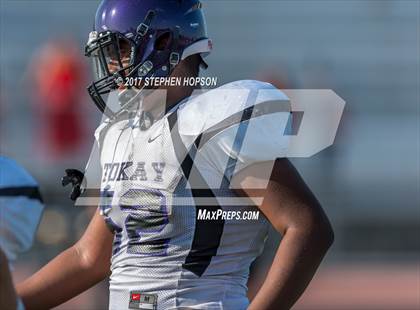 Thumbnail 3 in Tokay @ Chavez photogallery.