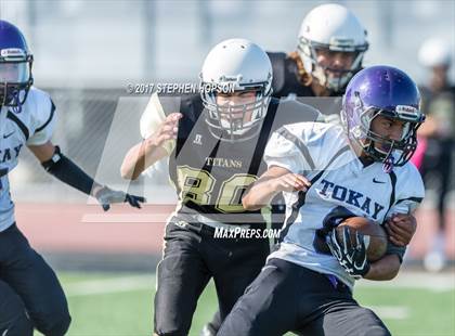 Thumbnail 3 in Tokay @ Chavez photogallery.