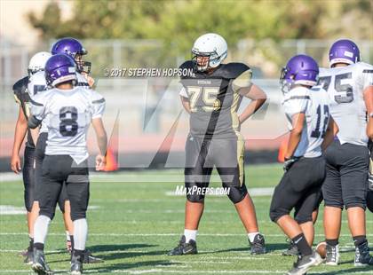 Thumbnail 3 in Tokay @ Chavez photogallery.
