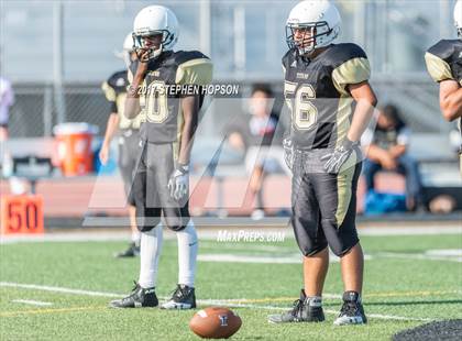 Thumbnail 1 in Tokay @ Chavez photogallery.