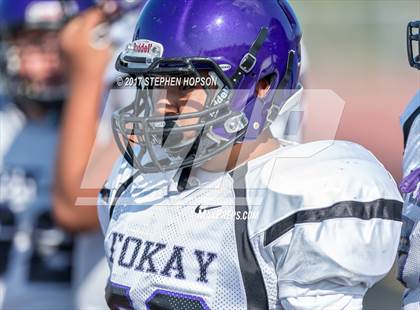 Thumbnail 1 in Tokay @ Chavez photogallery.