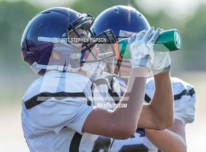 Thumbnail 1 in Tokay @ Chavez photogallery.