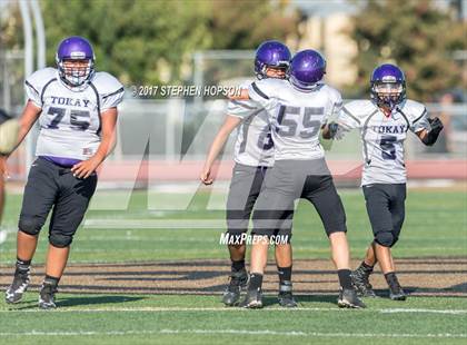 Thumbnail 2 in Tokay @ Chavez photogallery.