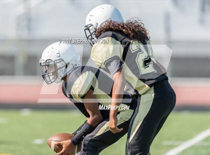 Thumbnail 1 in Tokay @ Chavez photogallery.