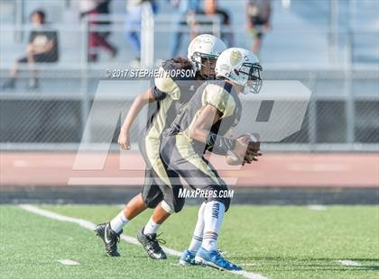 Thumbnail 3 in Tokay @ Chavez photogallery.