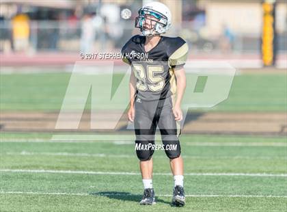 Thumbnail 3 in Tokay @ Chavez photogallery.