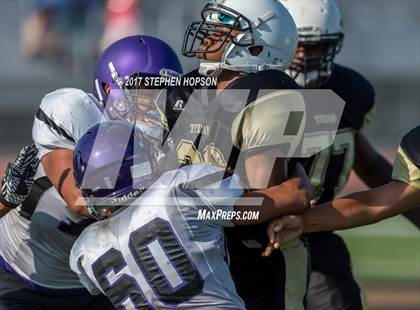 Thumbnail 2 in Tokay @ Chavez photogallery.