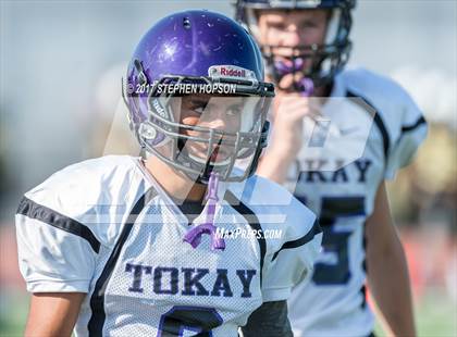 Thumbnail 1 in Tokay @ Chavez photogallery.