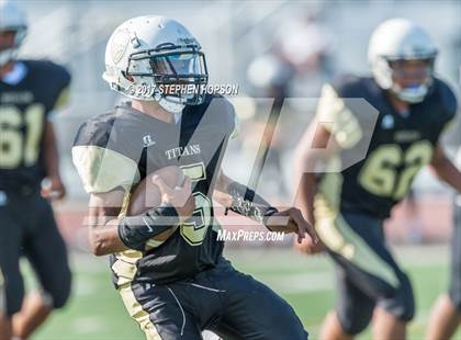 Thumbnail 3 in Tokay @ Chavez photogallery.