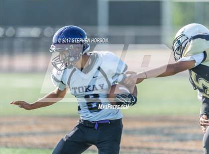 Thumbnail 1 in Tokay @ Chavez photogallery.