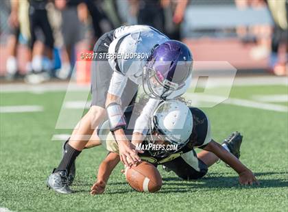 Thumbnail 1 in Tokay @ Chavez photogallery.