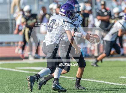 Thumbnail 2 in Tokay @ Chavez photogallery.