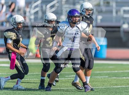 Thumbnail 2 in Tokay @ Chavez photogallery.