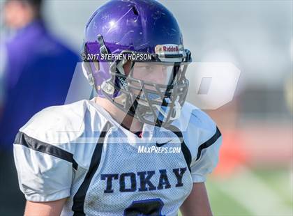 Thumbnail 2 in Tokay @ Chavez photogallery.