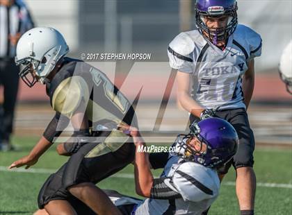 Thumbnail 2 in Tokay @ Chavez photogallery.