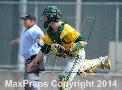 Thumbnail 2 in Manogue @ Reno photogallery.