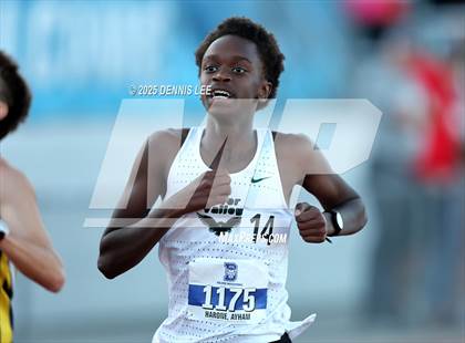 Thumbnail 1 in Halden Invitational - 800 Meter photogallery.