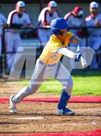 Photo from the gallery "Covina @ Charter Oak"