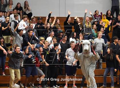 Thumbnail 1 in Cardinal Newman @ Healdsburg (NCS D4 Playoffs) photogallery.
