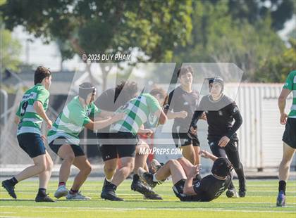 Thumbnail 3 in Coronado @ Servite photogallery.