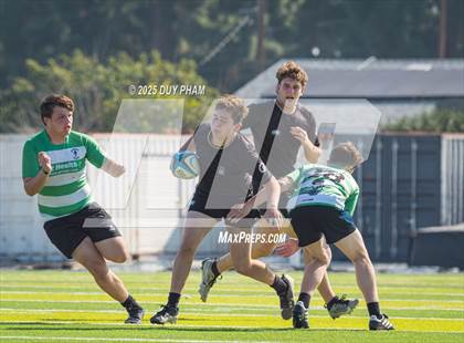 Thumbnail 3 in Coronado @ Servite photogallery.