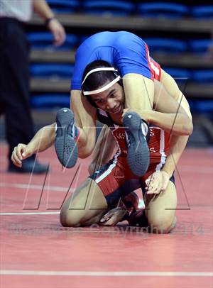 NIAA Division 1 State Championships