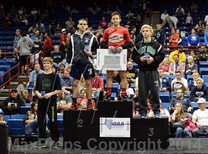 Thumbnail 1 in NIAA Division 1 State Championships photogallery.