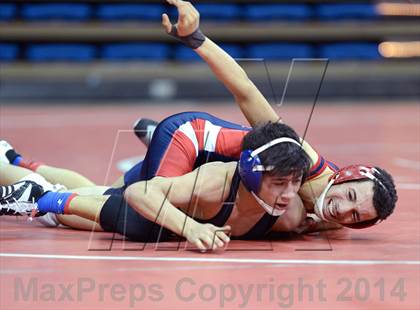 Thumbnail 2 in NIAA Division 1 State Championships photogallery.