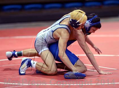 Thumbnail 1 in NIAA Division 1 State Championships photogallery.