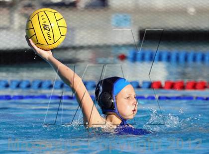 Thumbnail 1 in Davis vs St. Francis (CIF SJS D1 Final) photogallery.