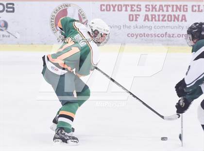 Thumbnail 1 in Horizon vs Mountain Ridge (AHSHA Semifinal Playoff)  photogallery.
