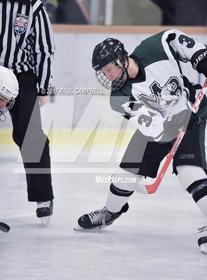 Thumbnail 1 in Horizon vs Mountain Ridge (AHSHA Semifinal Playoff)  photogallery.
