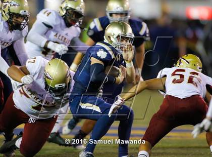 Thumbnail 1 in Alemany @ Notre Dame (SO) photogallery.